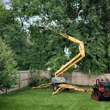 Lawn Irrigation Installation and Maintenance in Gordon, NE