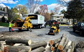 Best Storm Damage Tree Cleanup  in Gordon, NE